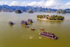 越南旅游征服国内游客