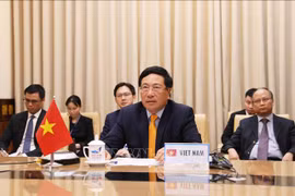 越南政府副总理兼外长范平明在联合国安理会高级别视频会议上发表讲话