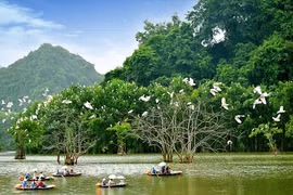 竭尽全力促进旅游业复苏 推广越南安全旅游目的地的形象