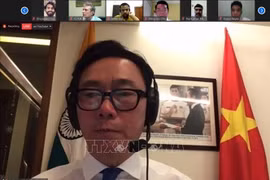 东盟与印度青年加强疫情爆发期间的合作