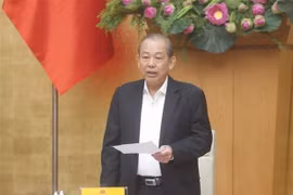 越南成立反腐败国家战略实施总结指导委员会