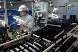 东南亚研究所高度评价越南经济发展成就