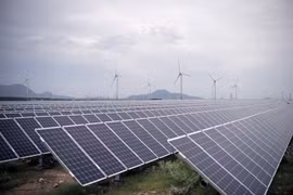  夏普设在越南宁顺省的太阳能发电厂即将投入运营
