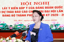 越南国会主席阮氏金银出席河内市党代会政治报告草案征求意见会