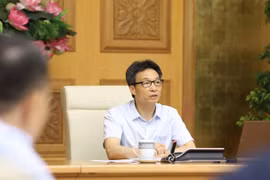 武德澹副总理：严厉惩处不按防疫规定进行健康申报和接受隔离的行为