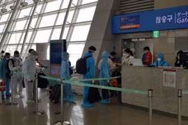新冠肺炎疫情：将210多名越南公民从日本接回国