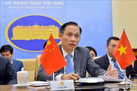 越南与联合国安理会：分享各大方向与措施，助力提升越南的地位、作用和贡献