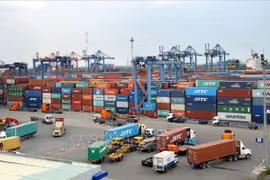 国际专家：澳大利亚与越南的经济关系正处于重要时刻