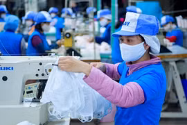 新冠肺炎疫情：2020年2月份Vinatex向市场供应600只抗菌口罩