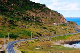 巴地头顿省昆岛县各旅游景点暂时关闭