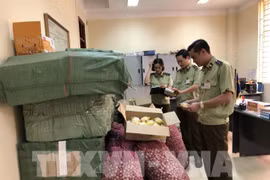 谅山省严厉打击走私、商业欺诈和制售假冒伪劣商品违法行为
