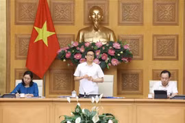 武德儋副总理： “安全的越南”的旅游推广应与疫情防控工作相结合