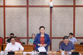 面向越共十三大：中央政治局讨论各中央直属党代会的准备工作