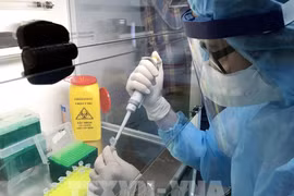 河内市出现疑似病例的新冠病毒检测结果属阴性