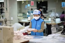 越南出口近4.16万只口罩 