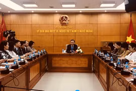 越南集中精力做好海外侨务工作