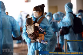 新冠肺炎疫情：将逾350名越南公民从中国台湾接回国