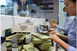 2020年前11个月国家财政收入同比下降7.8%