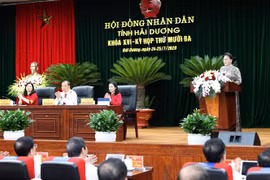 国会主席阮氏金银出席海阳省第16届人民议会第13次会议