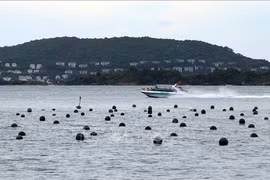 大湄公河次区域国家努力促进旅游行业复苏