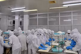 广宁省新增 4家水产企业拥有对华出口资格