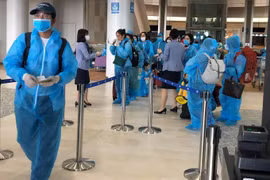 新冠肺炎疫情：将在日本滞留的340名越南公民接回国