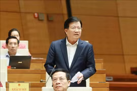 越南第十四届国会第十次会议：致力提高规划质量