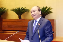 国会第十次会议：政府总理阮春福接受代表询问