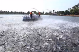 安江省加大主要产品出口力度