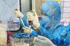 新冠肺炎疫情：越南累计确诊病例1213例 康复病例1070例 