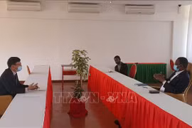 加强越南与莫桑比克执政党合作关系
