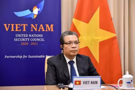 越南一贯支持巴勒斯坦人民的正义斗争和无可侵犯的正当权益