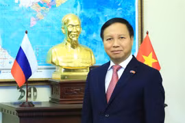 越南驻俄罗斯大使呼吁旅俄越南人社群携手抗击新冠肺炎疫情