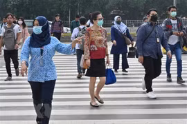 东南亚各国在新冠肺炎疫情爆发期间的共同担忧