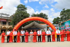 山萝省向美国市场出口30吨芒果