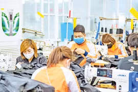 主动把握来自欧洲市场的机遇