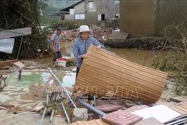 加拿大政府为越南中部地区洪灾灾民提供人道主义援助