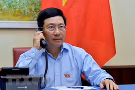 越南政府副总理兼外交部长范平明与埃及外交部长通电话