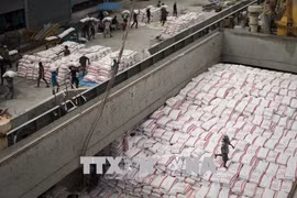 东盟承诺在新冠肺炎大流行期间确保粮食安全
