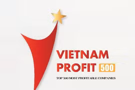 越南利润最高企业500强榜单22日将出炉