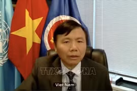 ASEAN 2020：国际社会高度评价东盟的作用和东盟-联合国合作关系