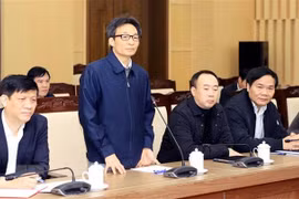 新冠肺炎疫情：政府副总理武德儋就疫情防控工作对永福省领导作指示