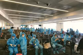 新冠肺炎疫情：340多名越南公民从澳大利亚安全回国