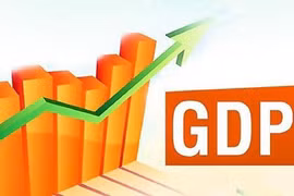 世行：今年越南经济将增长2.5-3％