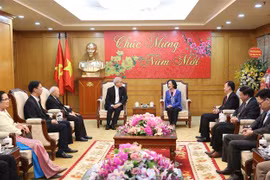 中央民运部部长张氏梅会见越南天主教团结委员会代表团
