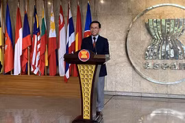 ASEAN 2020：越南代表被选为东盟副秘书长