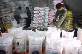 越南多措并举确保国内粮食供应和满足出口需求