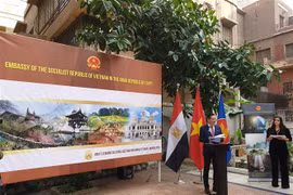 为加大越南-埃及文化交流搭建桥梁