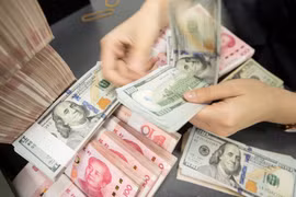 7月8日越盾对美元汇率中间价上调4越盾