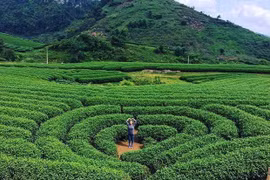 山罗旅游推广活动在首都河内举行